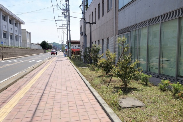 院外美化活動をおこないました。